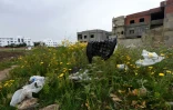 Les déchets envahissent Tunis, le 2 avril 2016