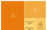 Les céréales d'Ukraine exportées par la mer