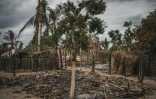 Des maisons incendiées dans le village mozambicain d'Aldeia da Paz, le 24 août 2019, trois semaines après une attaque jihadiste