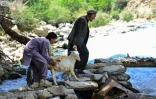 Deux hommes tirent une chèvre vers un pont provisoire le 18 juillet 2021 dans la province du Panshir, en Afghanistan, avant la fête de l'Aïd al-Adha