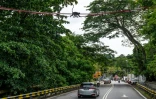 Un singe langur à lunettes traverse une passerelle au-dessus de la route Lembah Permai, dans le quartier de Tanjung Bungah, à George Town, sur l'île de Penang, le 9 avril 2026 en Malaisie