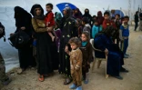 Des Irakiens des zones de combat sont rassemblés dans un camp pour déplacés à Qayyarah, le 24 octobre 2016