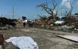 Un habitant de Marsh Harbour, aux Bahamas, récupère des débris après le passage de l'ouragan Dorian, le 10 septembre 2019