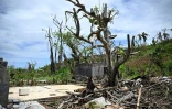 Un homme est assis au milieu des débris après le passage du cyclone Chido dans le village de Bandraboua, à Mayotte, le 4 janvier 2025