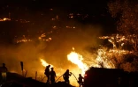 Des pompiers combattent le "Lilac fire" à  Bonsall, en Californie, le 7 décember 2017