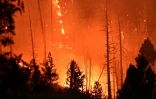 Le Dixie Fire à Twain, le 26 juillet 2021 en Californie