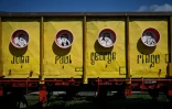 Des portraits des Beatles -John Lennon, Paul McCartney, Ringo Starr et George Harrison- dessinés sur un wagon servant pour un événement culturel à Petrila, en Roumanie, le 1er mai 2023