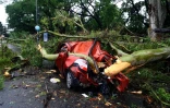 Une voiture Ă©crasĂ©e par un arbre tombĂ© lors d'une tempĂȘte qui a fait au moins 16 morts et causĂ© de nombreuses destructions dans plusieurs villes du centre de l'Argentine, le 17 dĂ©cembre 2023 Ă Buenos Aires
