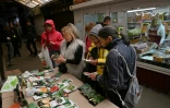 La marchande de graines 
Nadiya Hrebenyk au marché de Boutcha, Ukraine, le 22 mai 2022