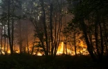 Incendie à Clefs-Val-D'Anjou, près de La Flèche, dans l'ouest de la France, le 9 août 2022