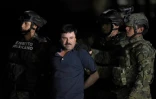 Le baron de la drogue El Chapo maintenu par des policiers peu après son arrestation, le 8 janvier 2016 sur le tarmac de l'aéroport de Mexico
