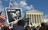 "La vie compte" sur un panneau dans la "Marche pour la vie" annuelle des militants anti-avortement devant la Cour Suprême à Washington le 22 janvier 2015
