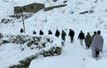 Des Afghans sur un sentier enneigé Afghan dans le district de Dara, dans la   province du Panchir, le 23 janvier 2026 