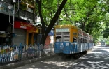 Un tramway dans une rue de Calcutta, le 8 septembre 2024 en Inde