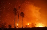 Le feu fait rage des deux côtés de l'autoroute Pacific Coast Highway, à Malibu, en Californie