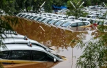 Des taxis submergés par les flots à Jakarta, le 1er janvier 2020