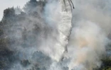 Un hélicoptère Sikorsky S-64 Skycrane largue de l'eau sur un incendie de forêt près de Malakasa, au nord d'Athènes (Grèce), le 7 août 2021