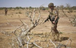Un soldat français recherche des mines artisanales avec un détecteur pendant une opération de Barkhane dans le nord du Burkina Faso, le 12 novembre 2019