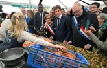 Gabriel Attal lors de sa visite Ă la Foire aux Bulots Ă Pirou dans la Manche le 27 avril 2024