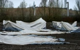 Les tentes du camp de migrants de Grande-Synthe, pour les deux tiers endommagées par la tempête, le 9 février 2016