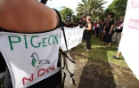 Jeudi 12 Mai 2011

 Manifestation des sages femmes