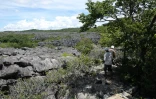 Le parc national Ankarana Ă Madagascar photo Noel Thomas