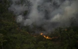 Vue aérienne d'un feu illégal dans la forêt amazonienne au Brésil le 15 septembre 2021