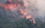 Des pompiers à Cotignac, dans le Var, le 23 juillet 2026
