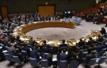 Réunion du Conseil de sécurité de l'ONU, le 14 avril 2018 à New York