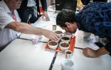 Un membre du jury hume du café lors d'une compétition de baristas au Paris Coffee show le 27 mai 2019