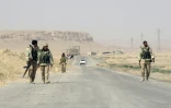 Les forces du régime syrien autour de Palmyre, lors d'une opération pour reprendre la ville aux rebelles, le 25 mars 2016, en Syrie