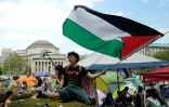 Des manifestants agitent des drapeaux palestiniens à l'université Columbia, à New York (est des Etats-Unis), le 30 avril 2024