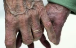 L'incertitude pèse sur l'avenir des régimes complémentaires, qui représentent entre un tiers et 60% des pensions 