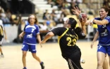 Samedi 28 Mai 2011

Finales des championnats de hand