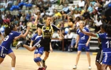 Samedi 28 Mai 2011

Finales des championnats de hand