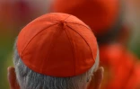 Plusieurs associations ont critiqué la protection de l'institution au détriment des victimes et reproché à François de ne pas être allé assez loin malgré ses nombreuses mesures, comme la levée du secret pontifical ou l'obligation de signalement