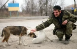 Un soldat ukrainien caresse des chiens près de Sartana, dans l'est de l'Ukraine, le 29 février 2016