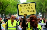 Manifestation de "gilets jaunes" à Amiens, le 25 mai 2019