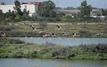 Des flamants roses survolent les marais salins à El Puerto de Santa Maria, le 15 septembre 2023