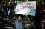 Une manifestante tient une pancarte sur laquelle on peut lire "Interdire les pesticides, c'est permettre la vie" lors d'une marche "Noisy Spring" contre les pesticides à Paris, le 5 avril 2025
