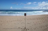 Plage de Boucan