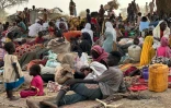 Des Soudanais ayant fui le camp de Zamzam, au Darfour, réfugiés près de la ville de Tawila, le 13 avril 2025
