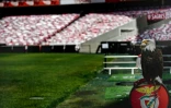 La mascotte de Benfica, l'aigle Vitoria, au bord de la pelouse du Stade de la Luz Ă Lisbonne le 17 juin 2020