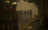 Des pompiers luttent contre les incendies à Lège-Cap-Ferret (Gironde), le 23 juillet 2026