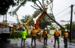 Des équipes du groupe Energex dégagent un arbre tombé après le passage du cyclone tropical Alfred à Brisbane, le 8 mars 2025 en Australie