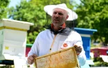 L'apiculteur Gezim Skermo (g) dans sa ferme apicole, le 13 mai 2020 Ă Plasa, en Albanie