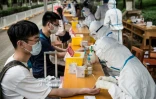 Des étudiants chinois se font prendre du sang pour un test sérologique afin de vérifier s'ils ont développé des anticorps contre le Covid-19, le 11 juin 2020 à Wuhan, épicentre de la pandémie