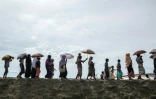 Des Rohingyas se dirigent vers un camp de réfugiés à Teknaf, au Bangladesh, le 5 octobre 2017 