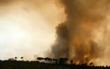 Un incendie sur le Mont Arci en Sardaigne, le 23 juillet 2009