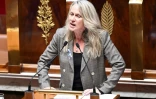 La députée française du groupe Renaissance Constance Le Grip s'exprime à l'Assemblée nationale française à Paris, le 23 octobre 2023